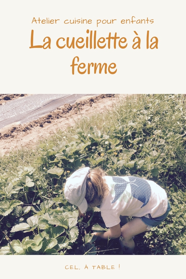 Cueillette à la ferme pour enfants