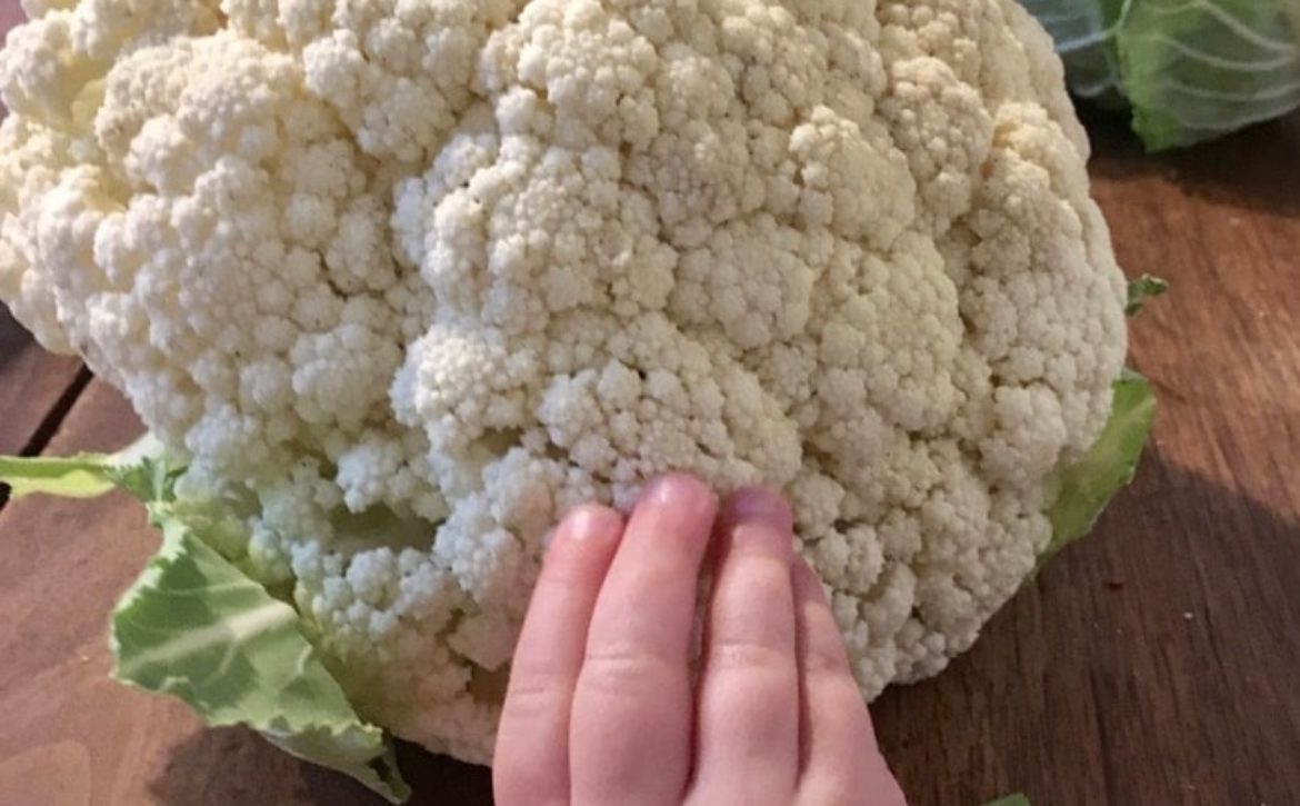 6 Recettes Pour Faire Aimer Le Chou Fleur Aux Enfants Cel A Table